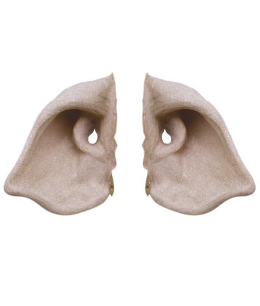 Pig Ears Latex Rubber