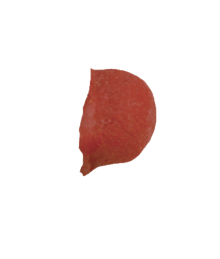 Clown Nose Small Latex Rubber