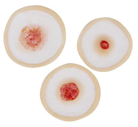 Bullet Holes 3pcs Silicone