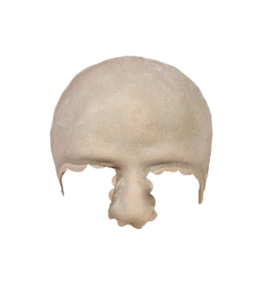 Hobbit with Nose  Latex Rubber