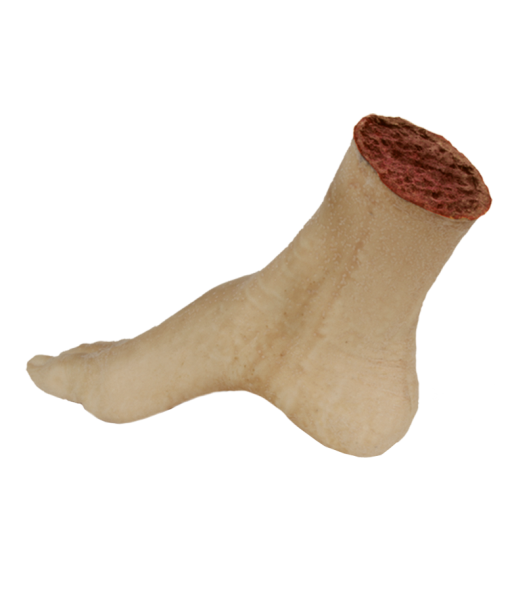 Severed Foot, right