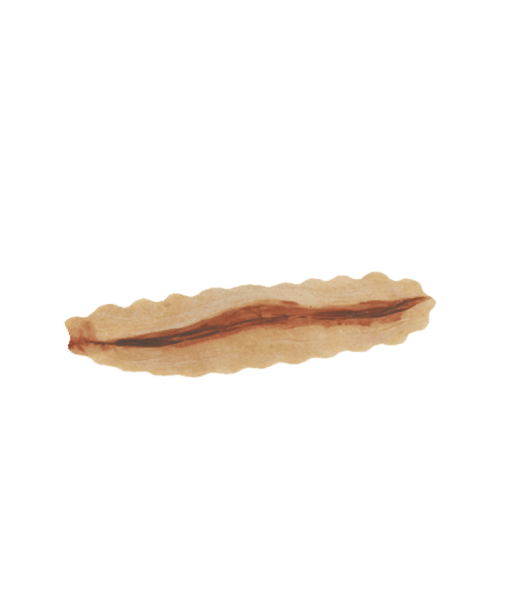 Slit Throat (11cm) PU Foam