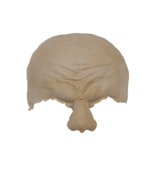 Troll with Nose  Latex Rubber