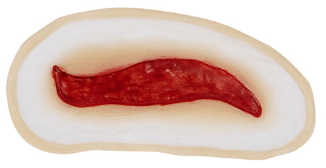 Wound 10 Silicone