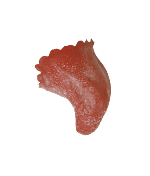 Devil Chin PU Foam