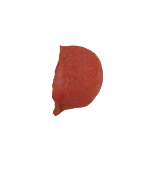 Clown Nose Small Latex Rubber