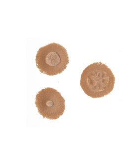 [3D-SB-BH] Bullet Holes 3pcs Silicone