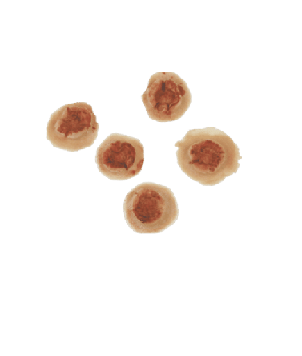 [3D-LR-BH1] Bullet Holes 5 pcs (2cm each) Latex Rubber