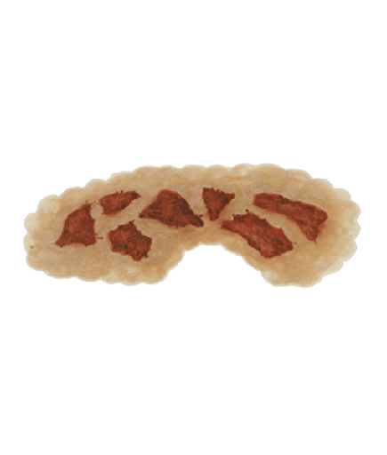 [3D-P-FB1] Flesh Burn PU Foam