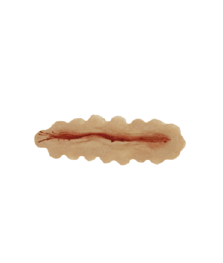 [3D-LR-S1] Medium Scar (9cm) Latex Rubber