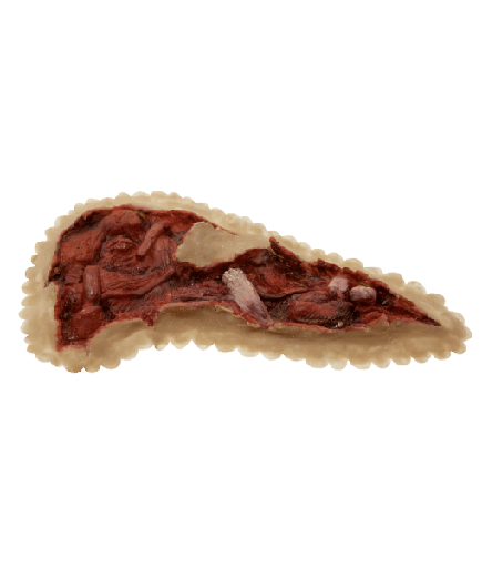 [3D-P-OS1] Open Shoulder (27cm) PU Foam