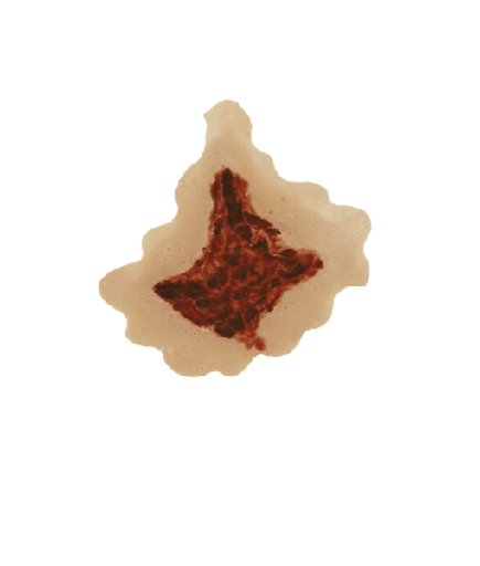 [3D-P-S5] Open Wound #3 (6cm) PU Foam