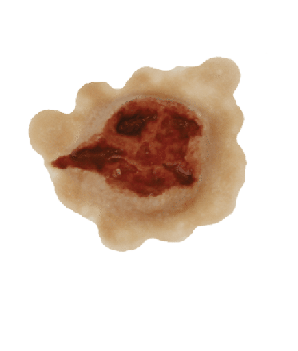 [3D-P-S6] Open Wound #4 PU Foam