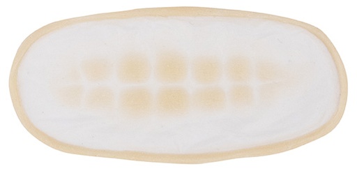 [3D-SB-ST] Stiches Silicone