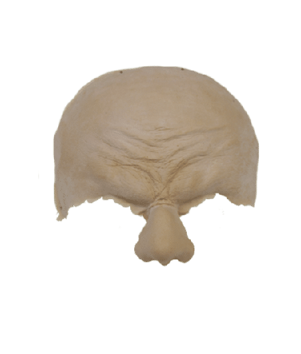 [3D-LR-FT1] Troll with Nose  Latex Rubber