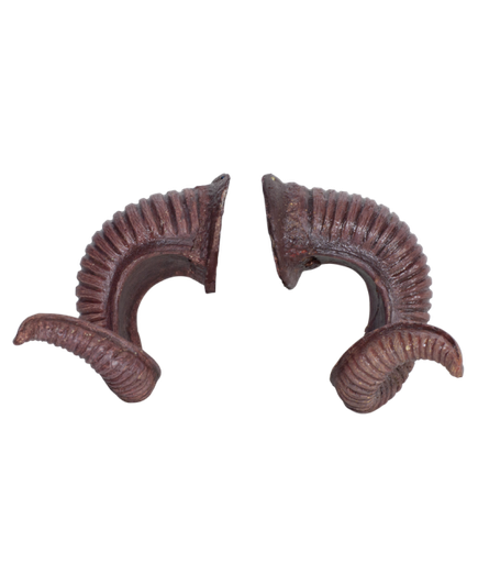 [3D-P-MH1B] Ram Horns  (17cm) PU Foam Brown