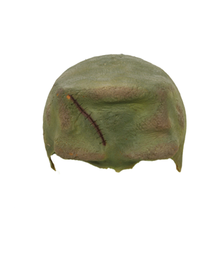 Herman Forehead  PU Foam